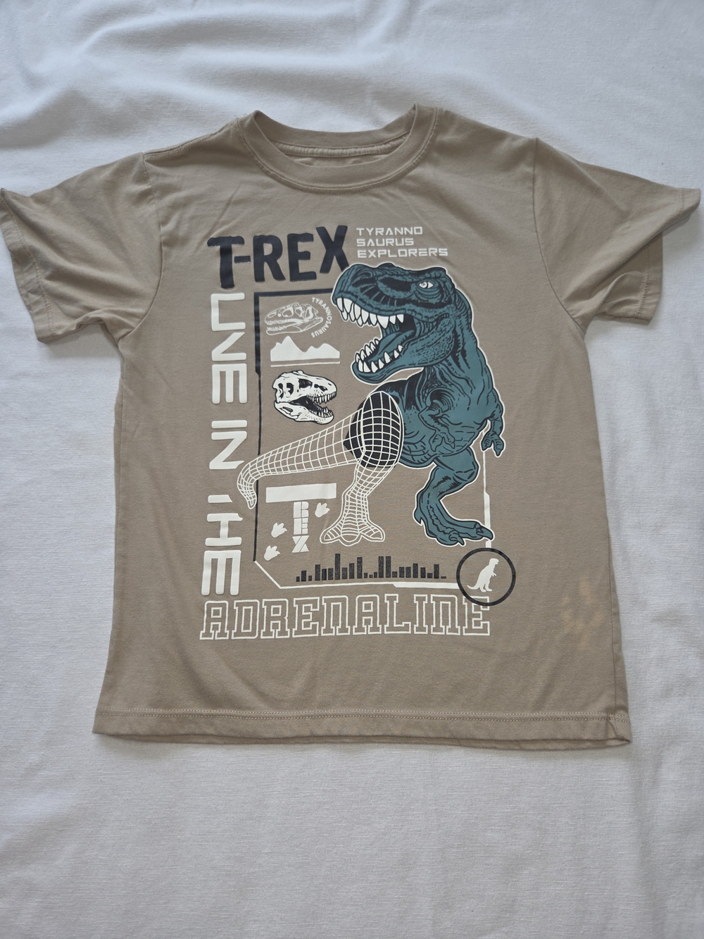 Cat & Jack Tan Tee with Teal T-Rex Graphic